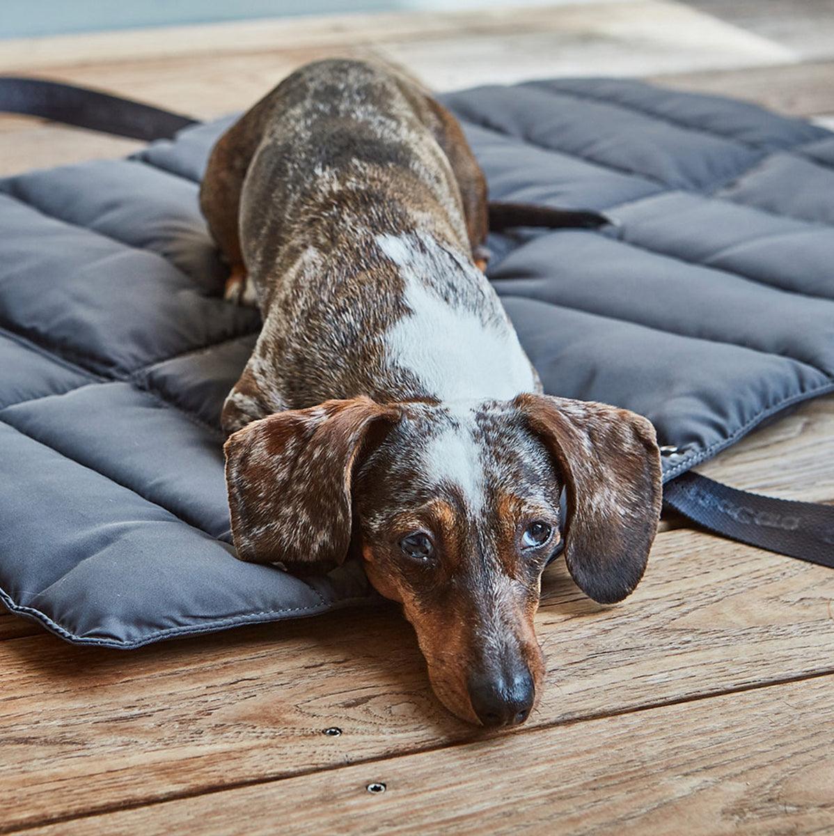 Lit pliable pour chien - STRADA - Kasibe