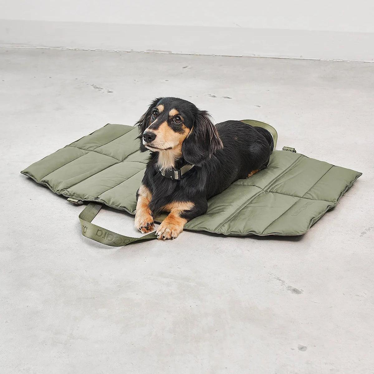 Lit pliable pour chien - STRADA - Kasibe