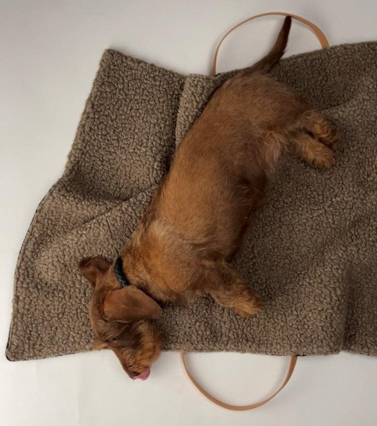 Lit portable pour chien - STEVE JUTE - Kasibe