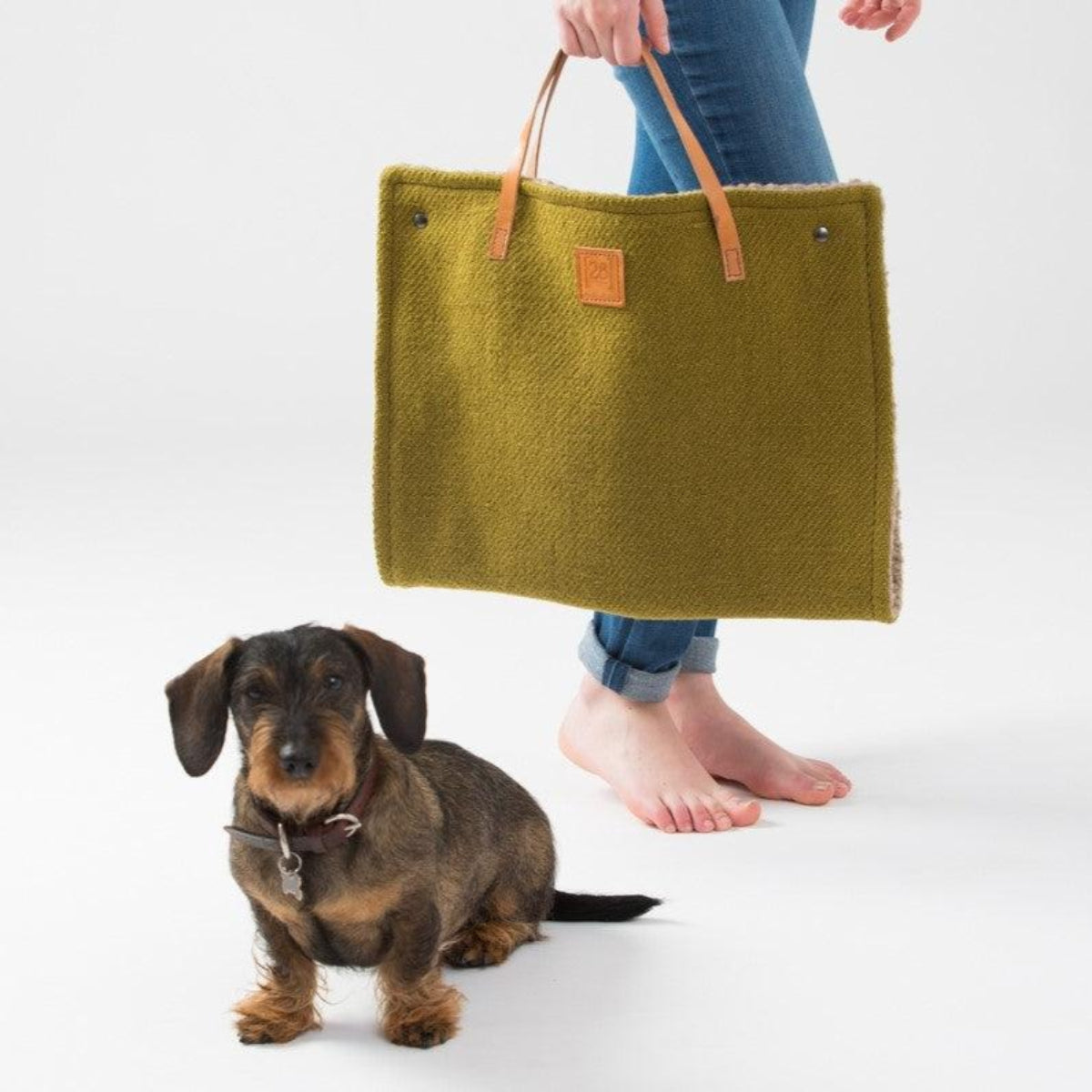 Lit portable pour chien - STEVE JUTE - Kasibe