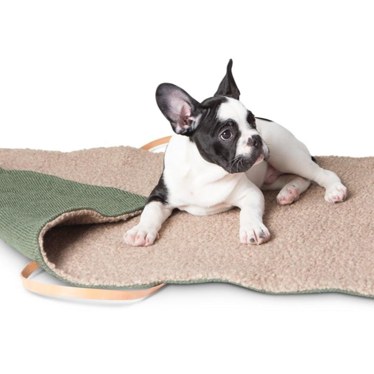 Lit portable pour chien - STEVE JUTE - Kasibe