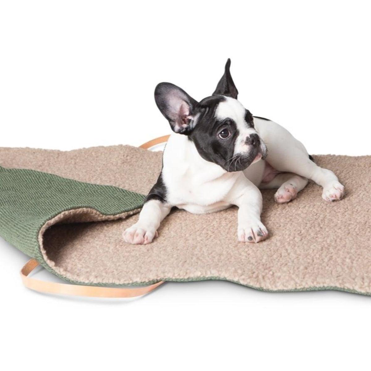 Lit portable pour chien - STEVE JUTE - Kasibe