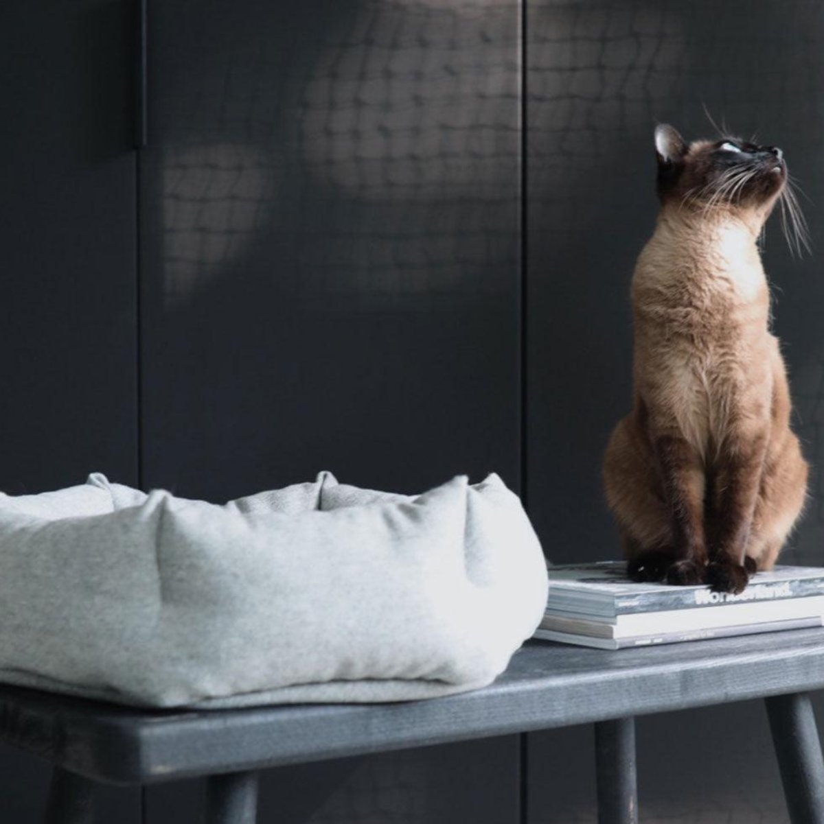Lit pour chat design - CALMA - Kasibe