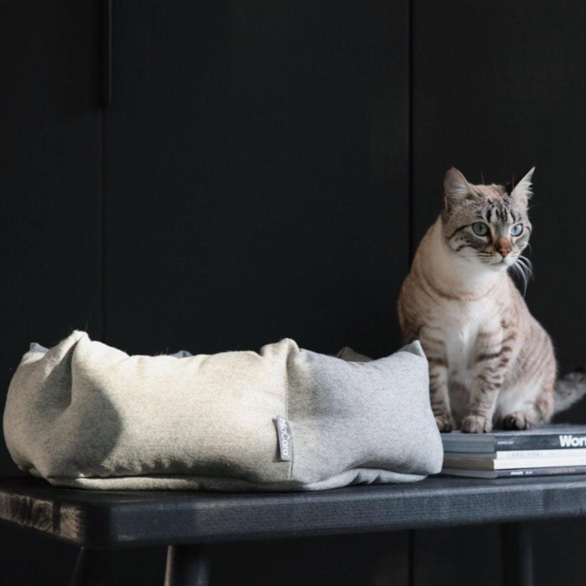 Lit pour chat design - CALMA - Kasibe