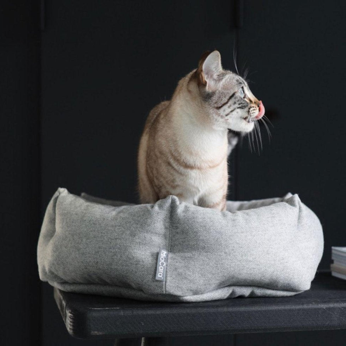 Lit pour chat design - CALMA - Kasibe