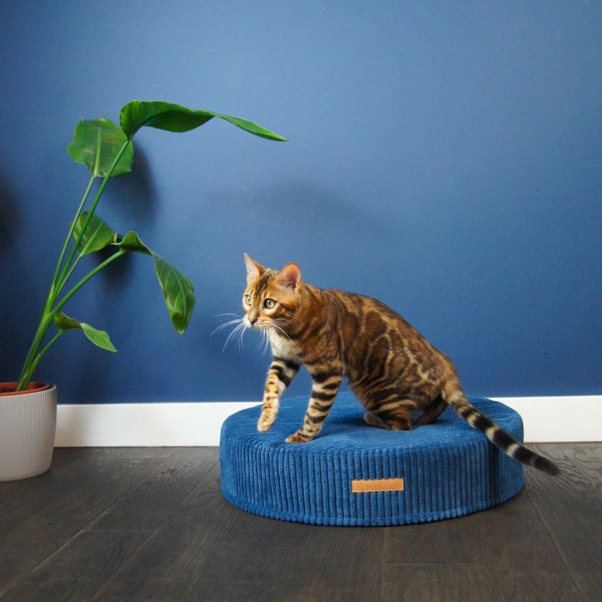 Lit pour chat ou petit chien - DREAMY - Kasibe