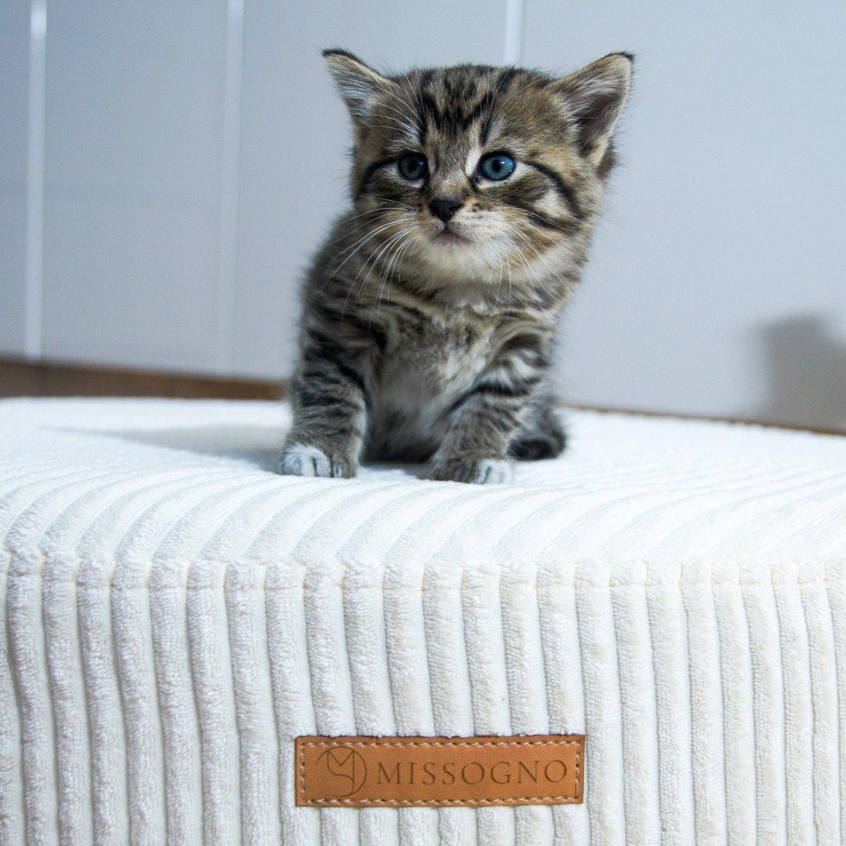 Lit pour chat ou petit chien - DREAMY - Kasibe