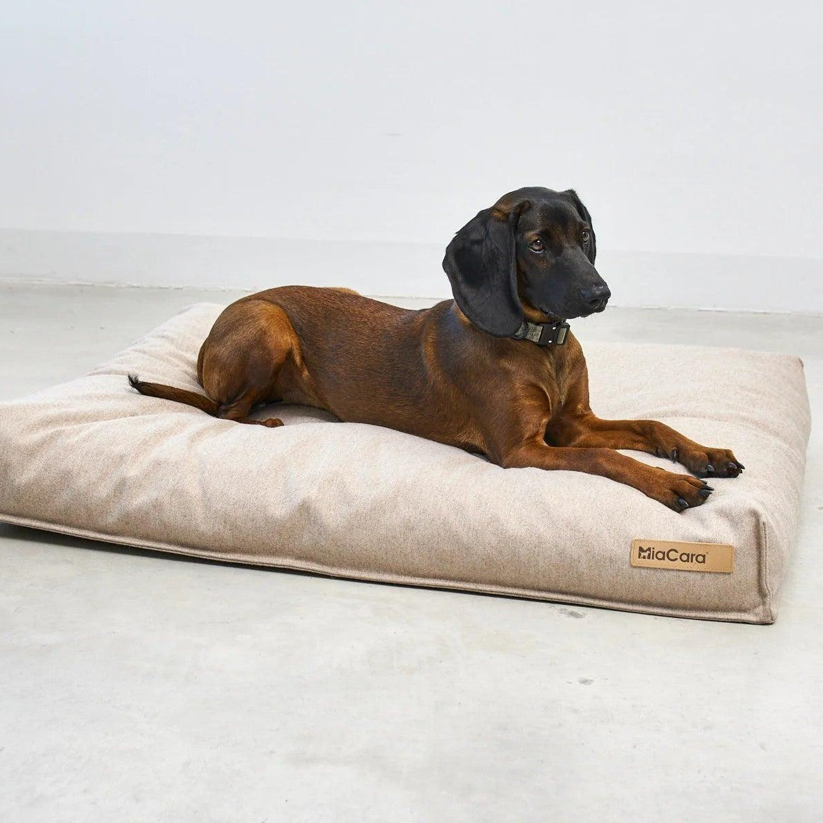 Lit pour chien de luxe - CALMA - Kasibe