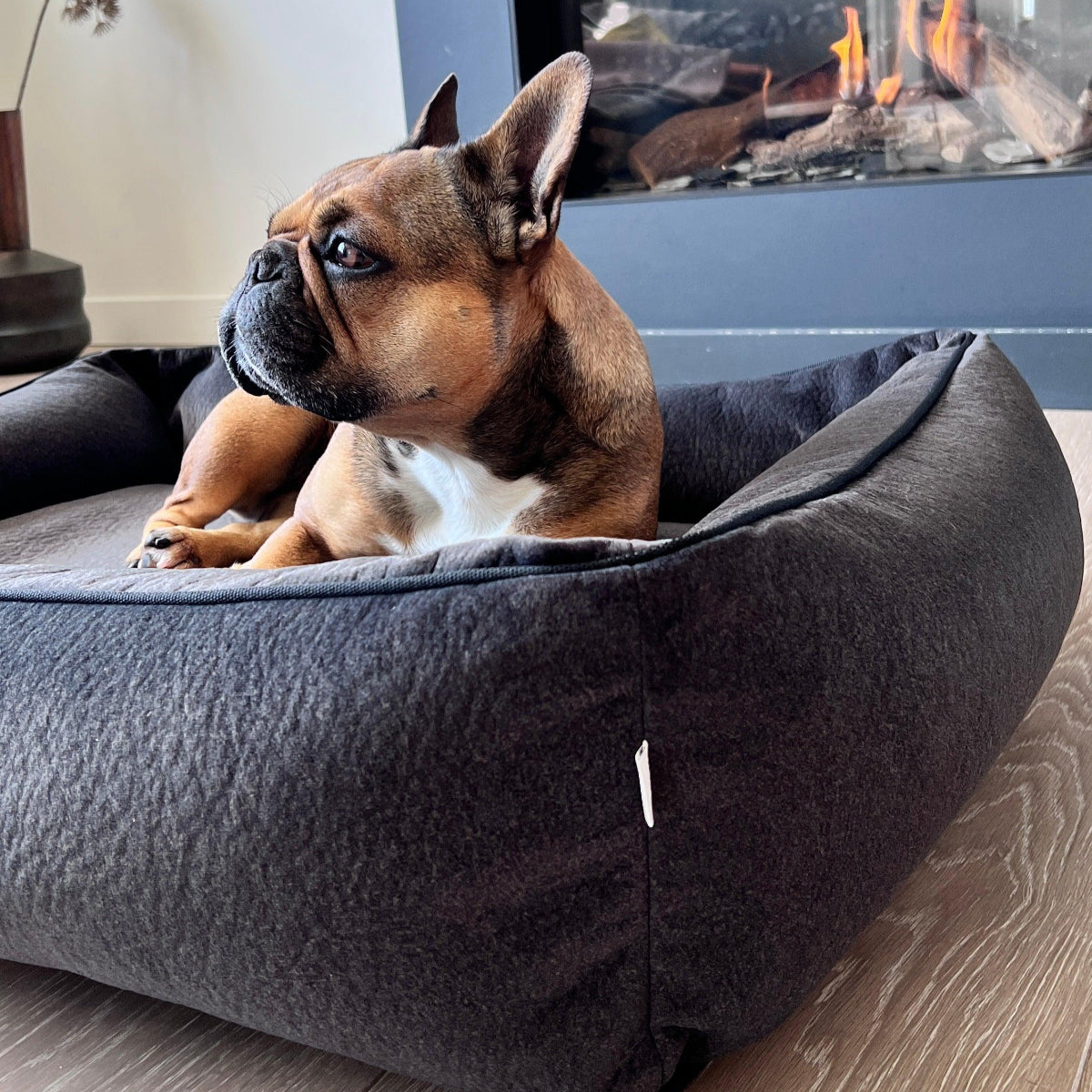 Lit pour chien design - BUFFALO - Kasibe
