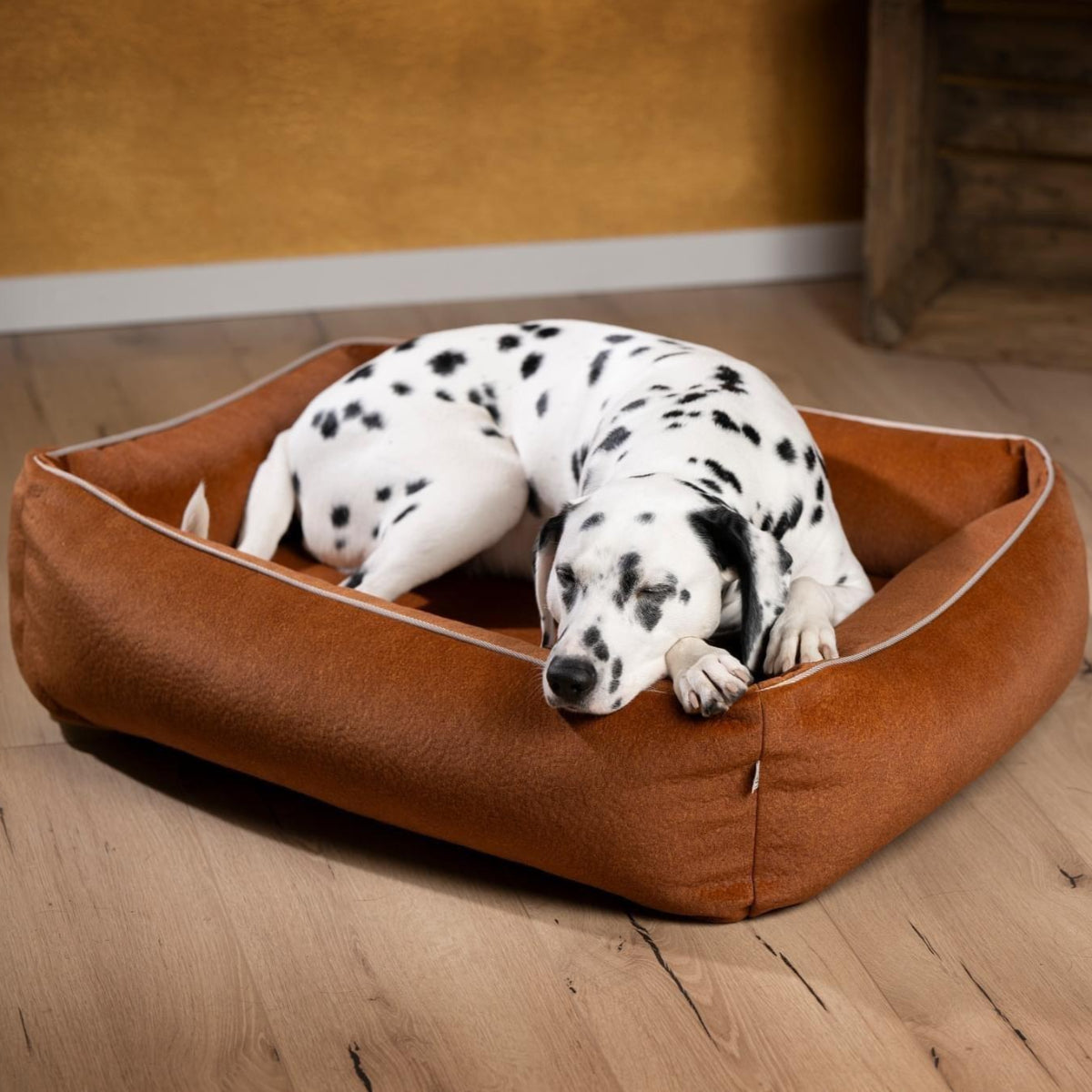 Lit pour chien design - BUFFALO - Kasibe