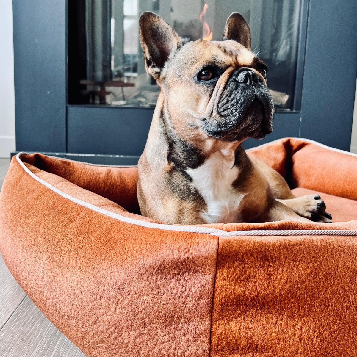Lit pour chien design - BUFFALO - Kasibe