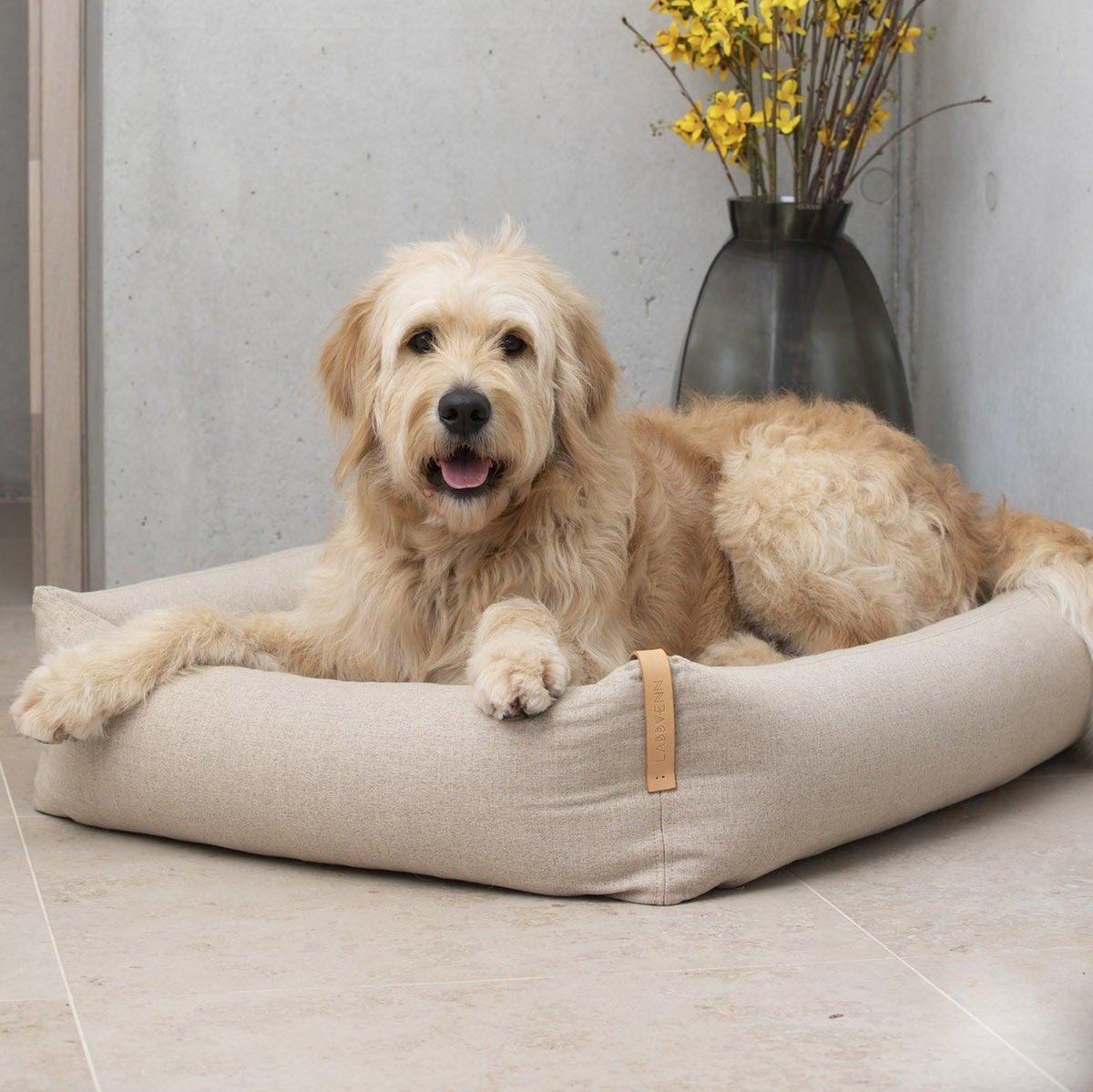 Lit pour chien design - MOE - Kasibe