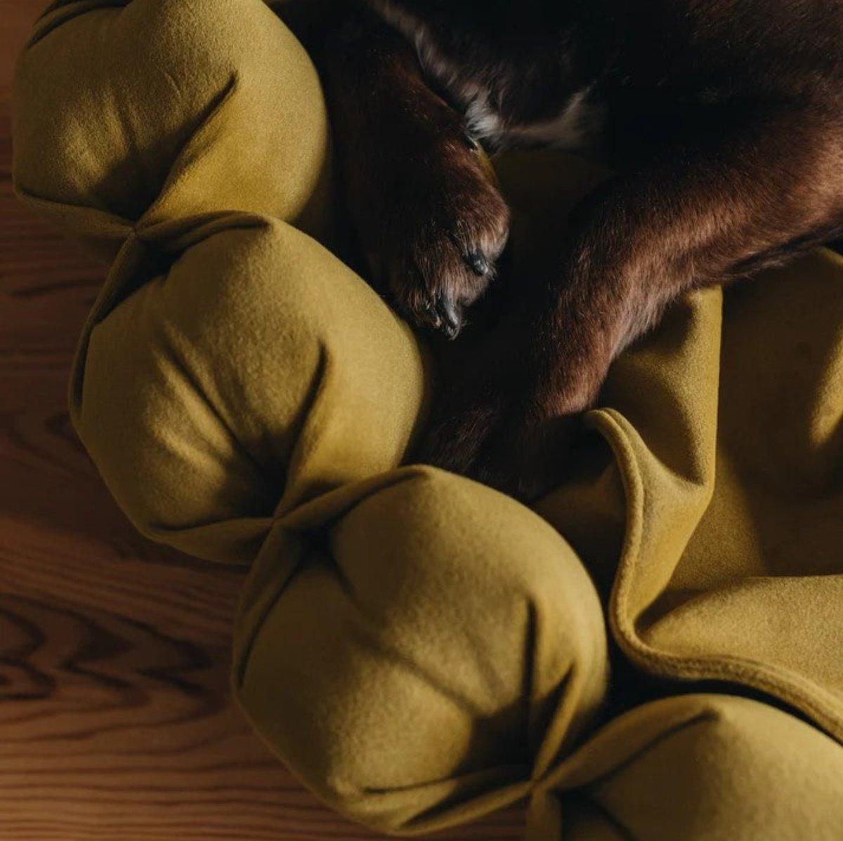 Lit pour chien original - HAVEN - Kasibe