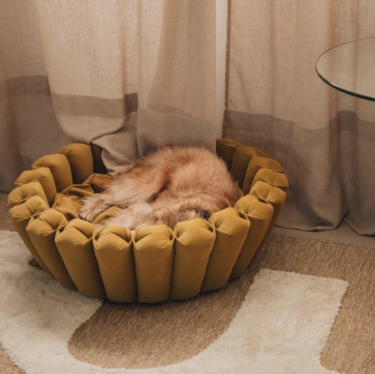Lit pour chien original - HAVEN - Kasibe