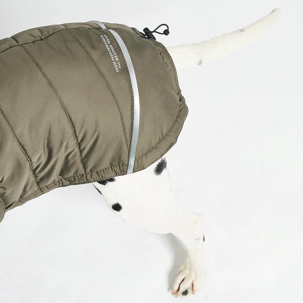 Manteau d'hiver pour chien - COSIMA - Kasibe