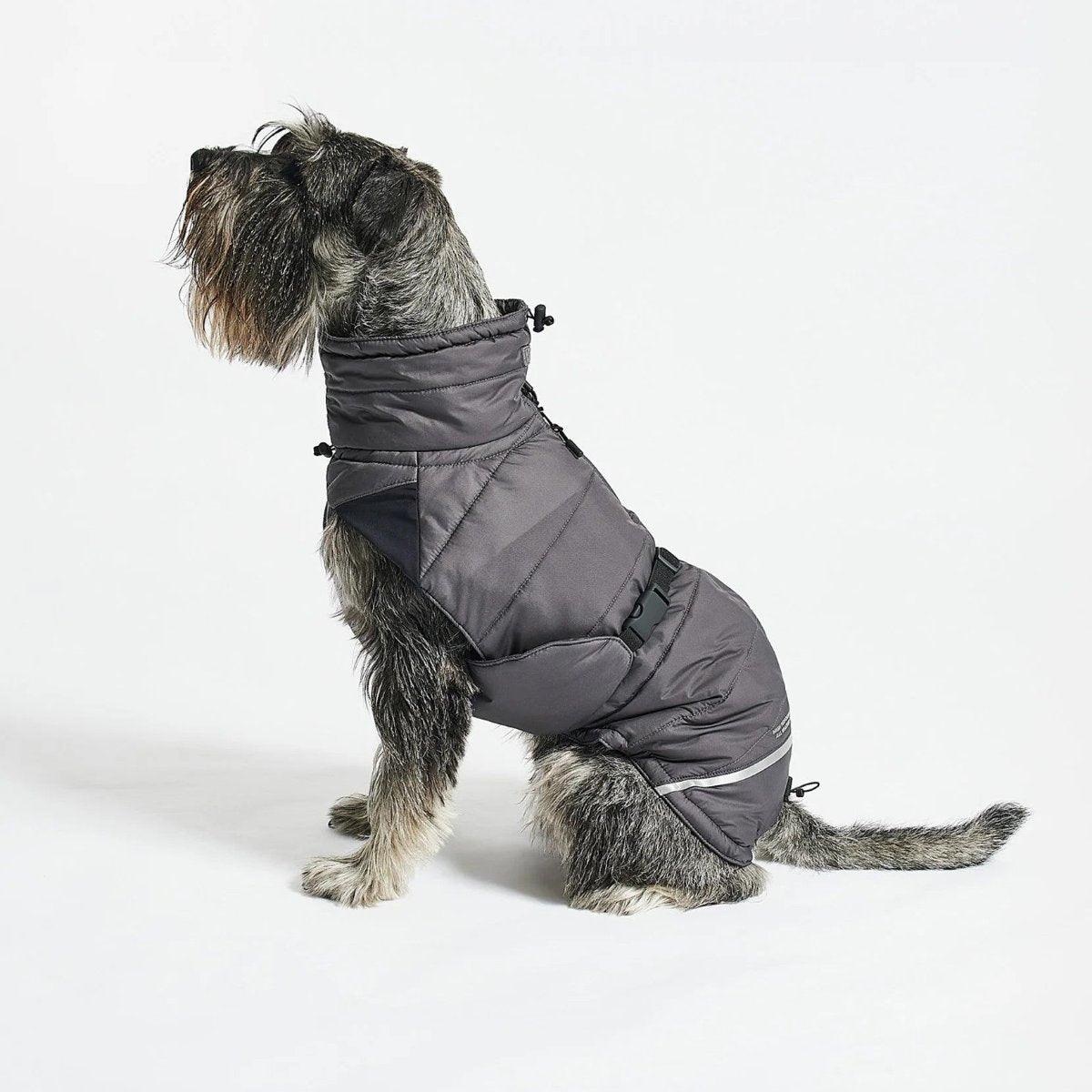 Manteau d'hiver pour chien - COSIMA - Kasibe