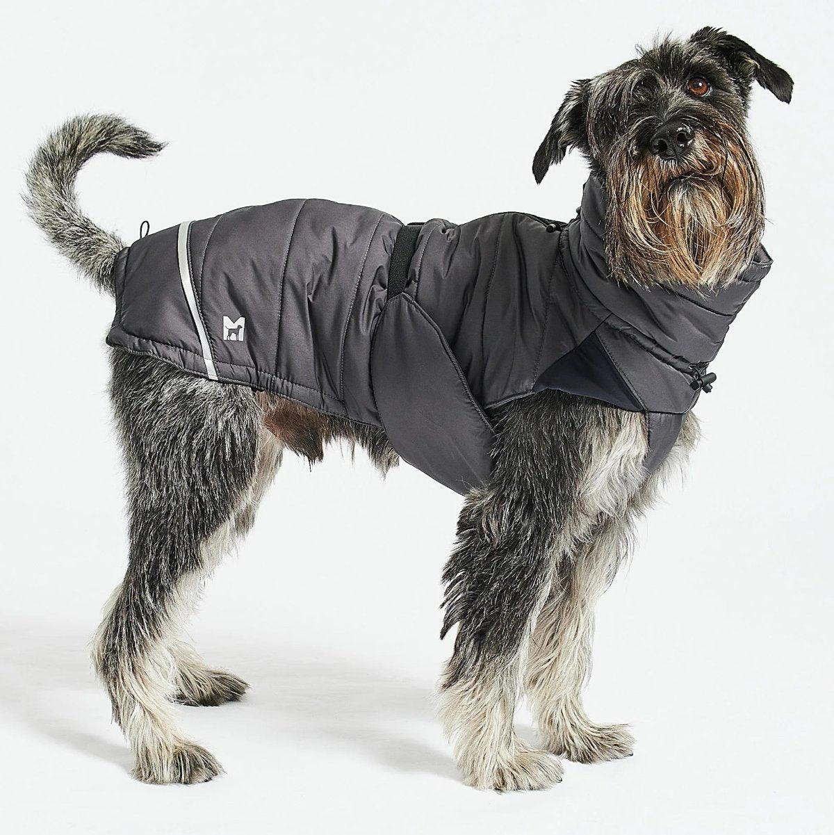 Manteau d'hiver pour chien - COSIMA - Kasibe