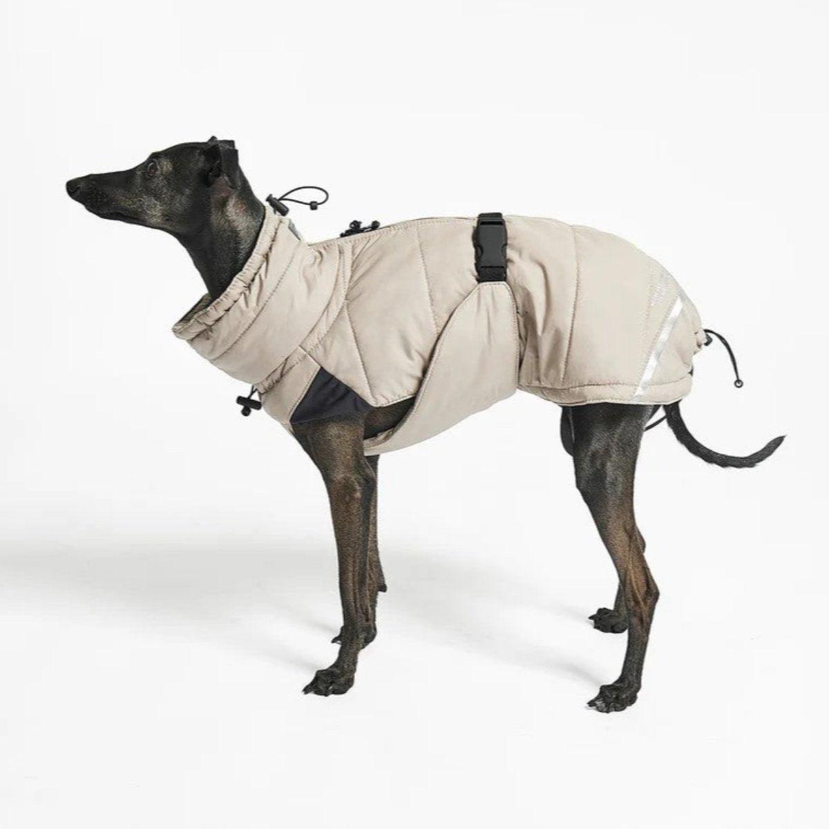 Manteau d'hiver pour chien - COSIMA - Kasibe