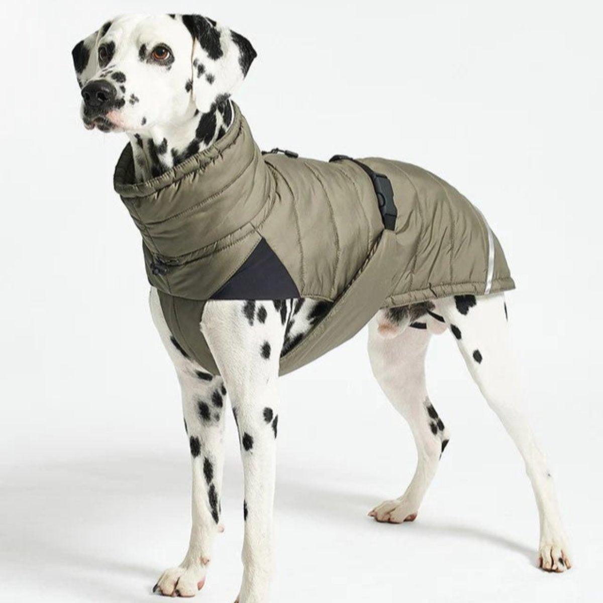 Manteau d'hiver pour chien - COSIMA - Kasibe