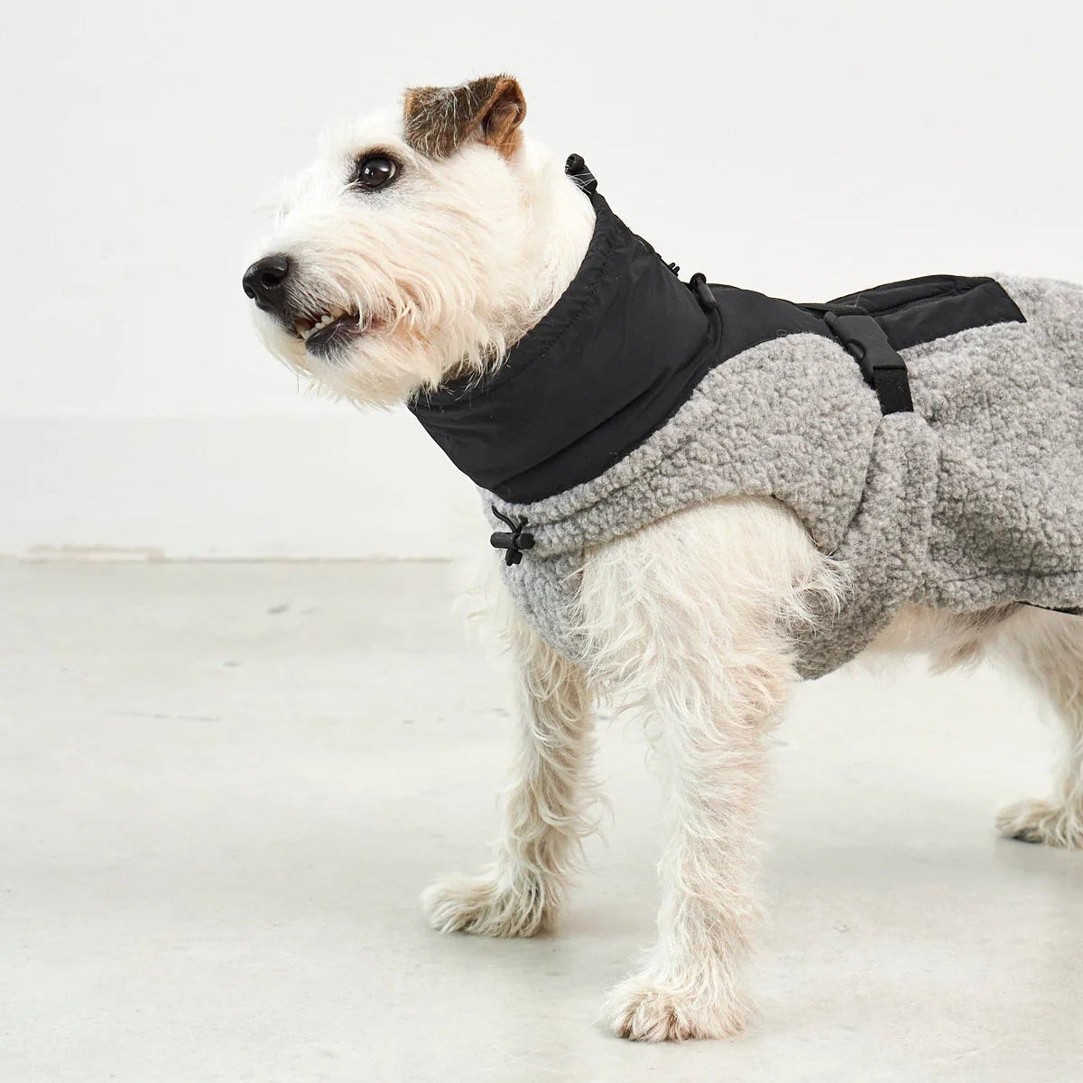 manteau pour chien - kasibe