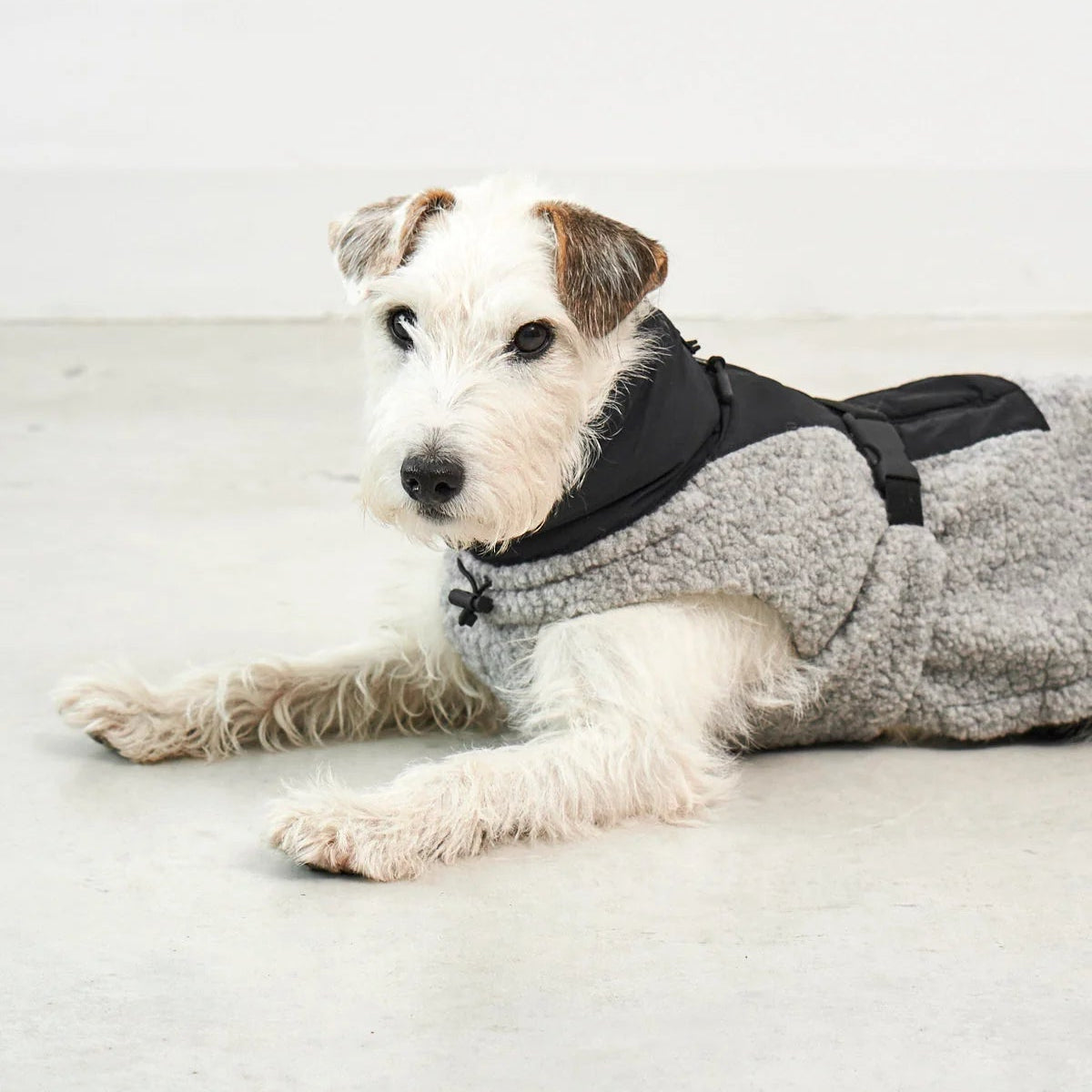 manteau pour chien - kasibe