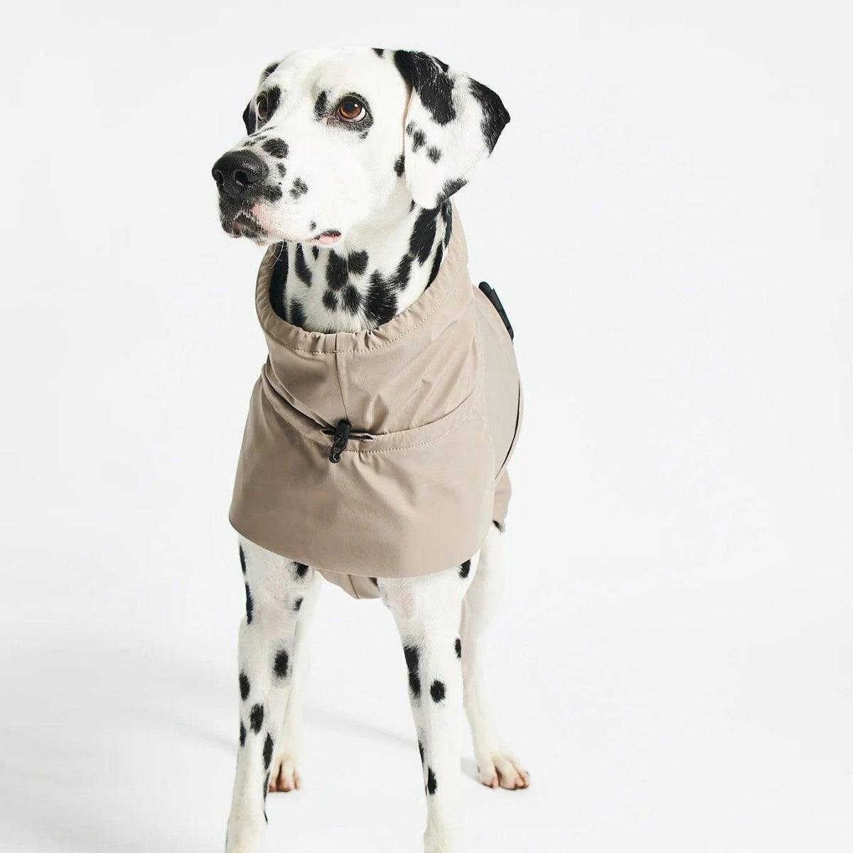 Manteau pour chien imperméable, parfait en cas de pluie : Valentina - kasibe