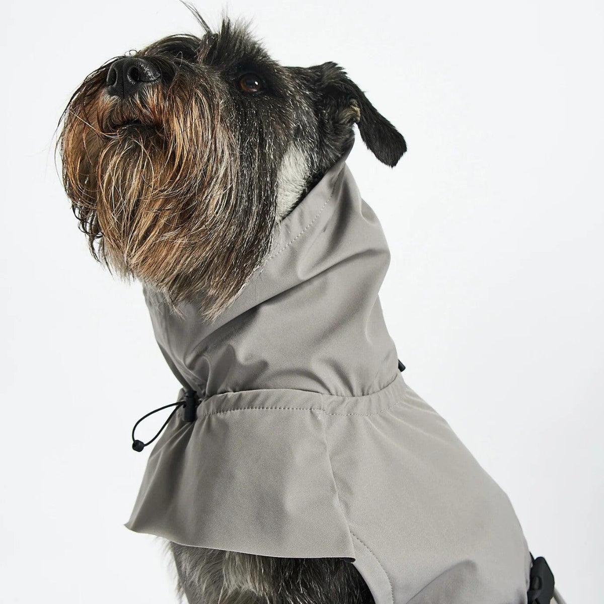 Manteau pour chien imperméable, parfait en cas de pluie : Valentina - kasibe
