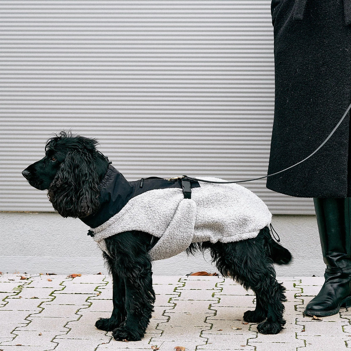 manteau pour chien - kasibe