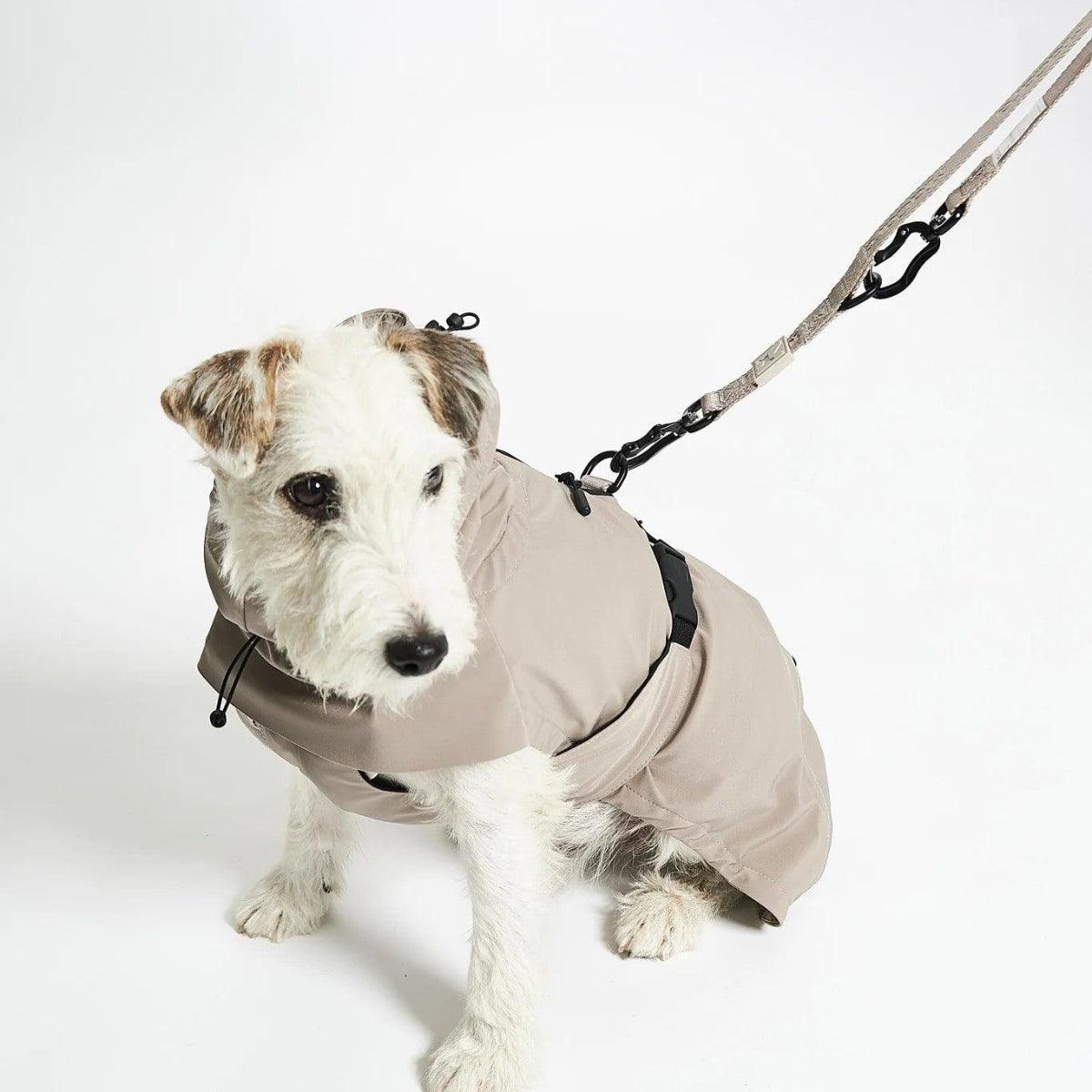 manteau pour chien imperméable - kasibe