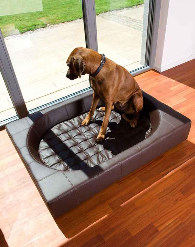 Panier Cube, un meuble pour chien très design - kasibe