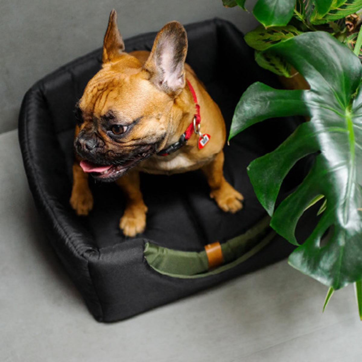 Niche pour chien - UP & DOWN - Kasibe