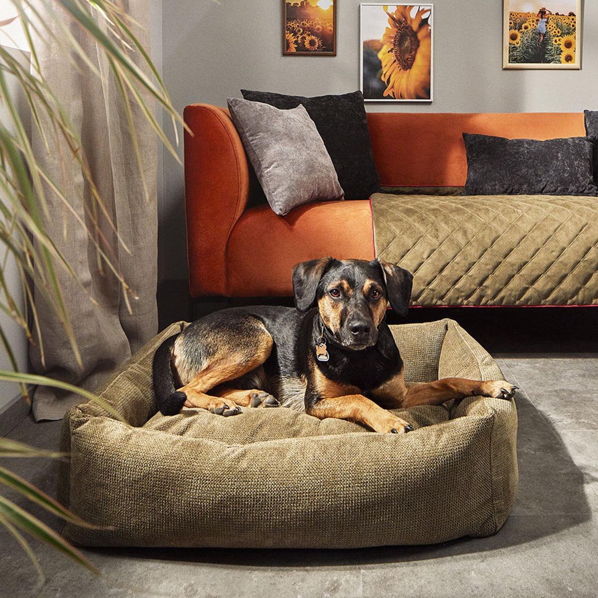 Panier pour chien très confortable - kasibe