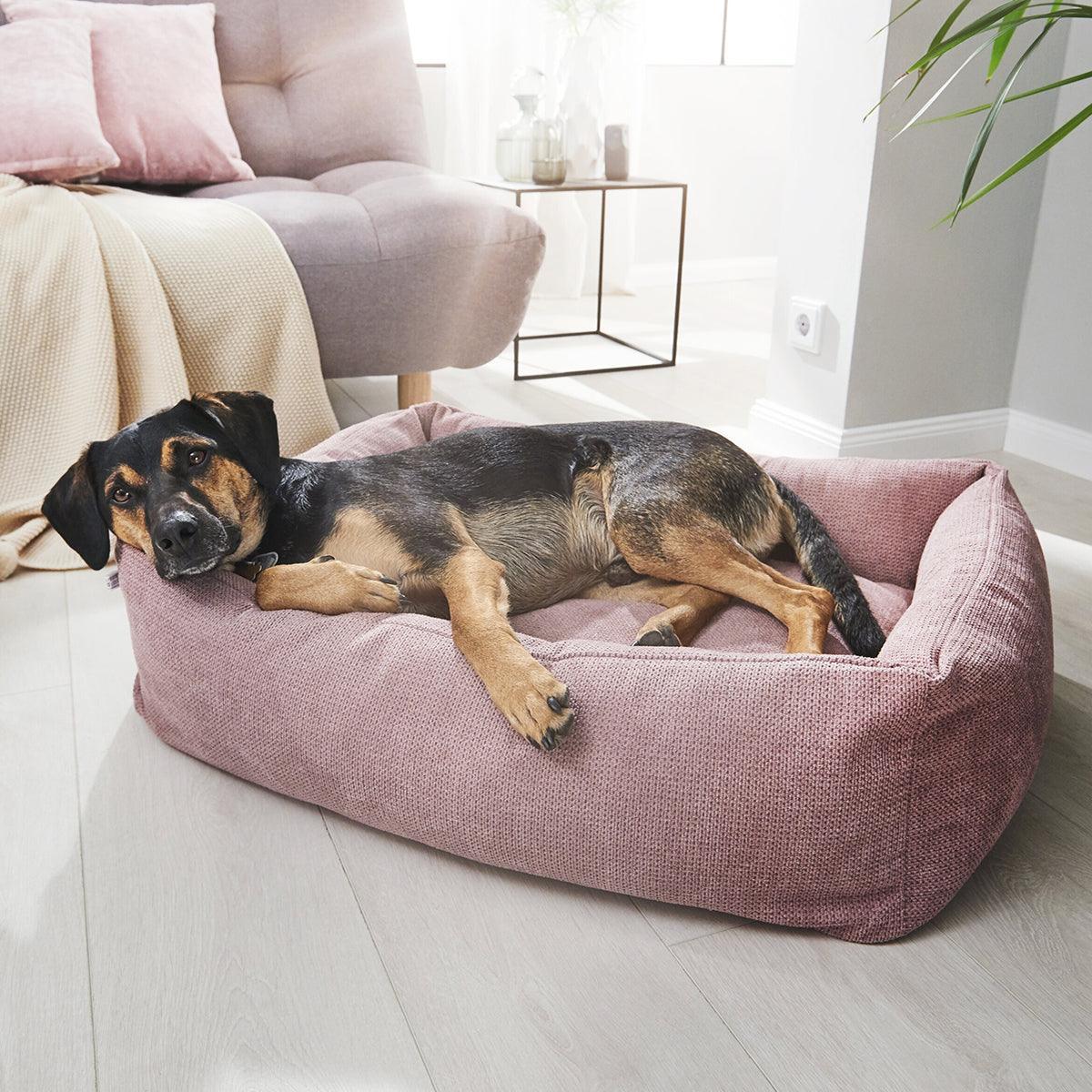 Panier pour chien très confortable - kasibe