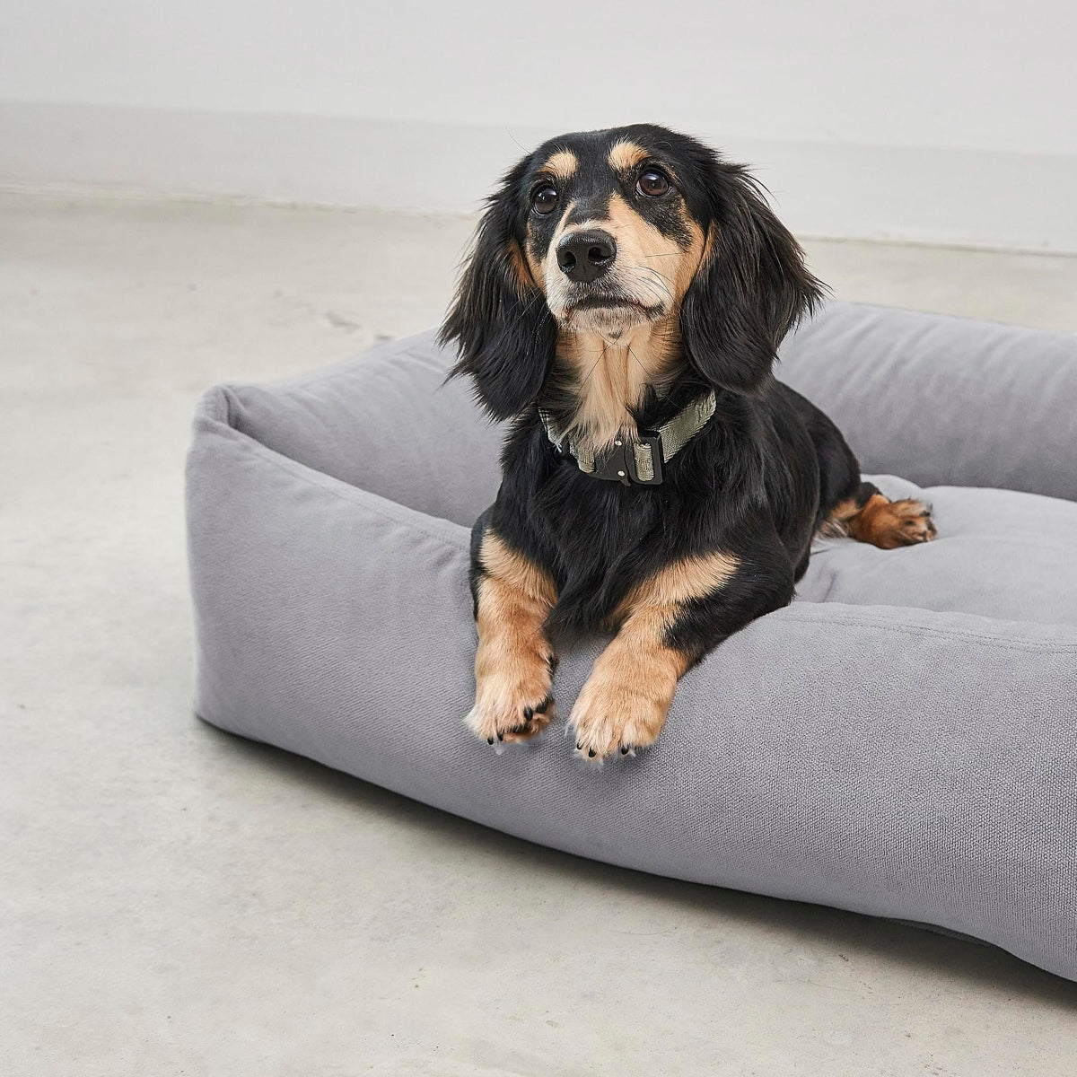 panier pour chien gris comodo miacara - kasibe