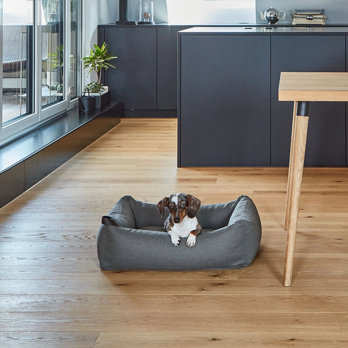 housse de panier pour chien recyclée mare miacara - kasibe