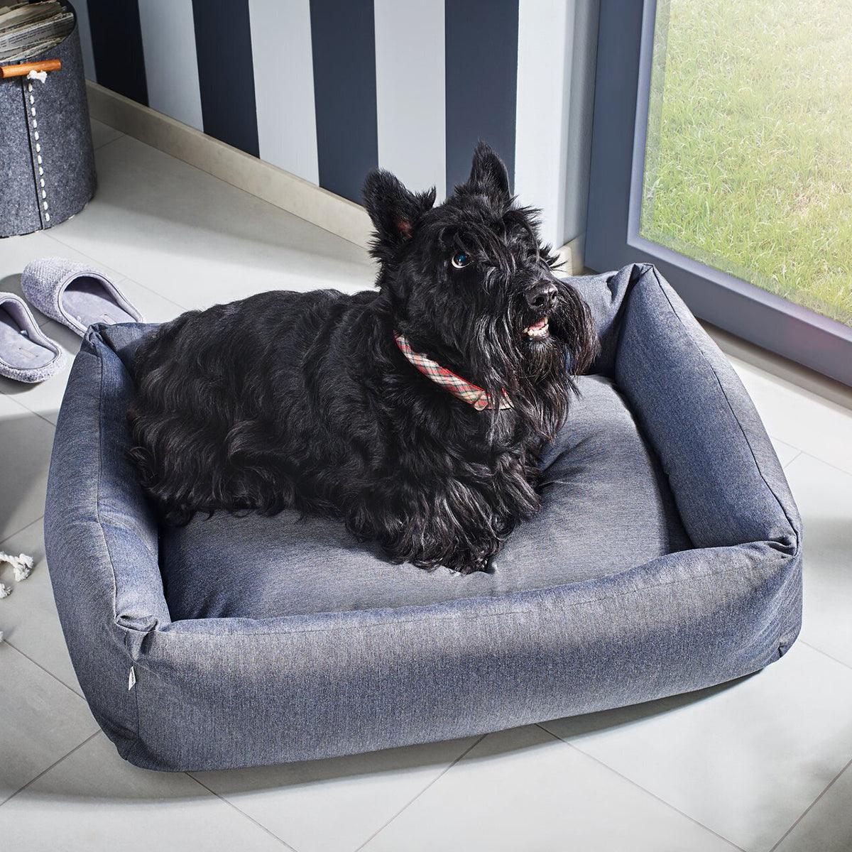 Panier pour chien classique - kasibe