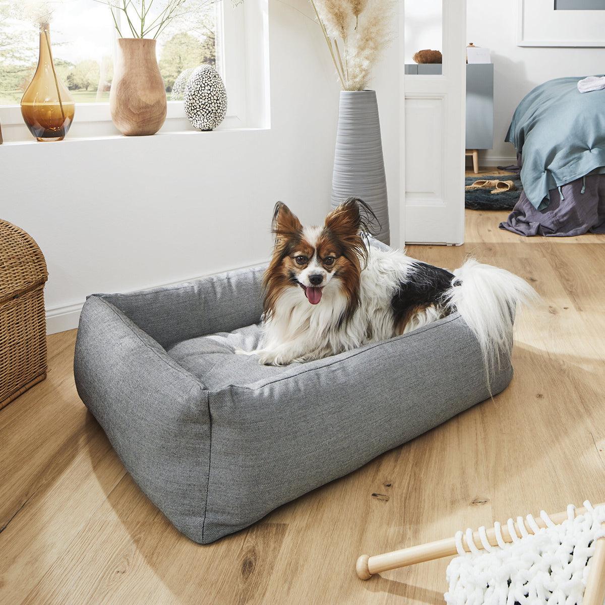 Panier pour chien classique - kasibe