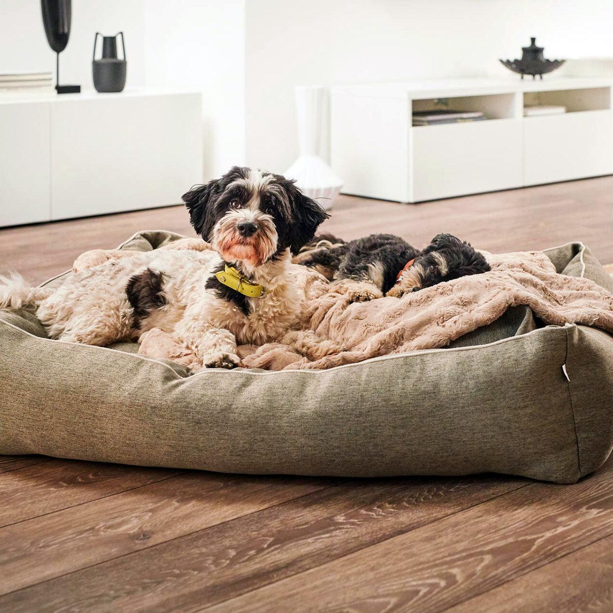 Panier confortable pour chien - UNO - Kasibe