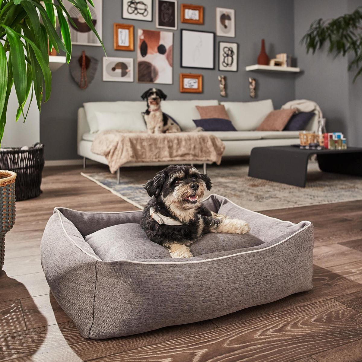 Panier confortable pour chien - UNO - Kasibe