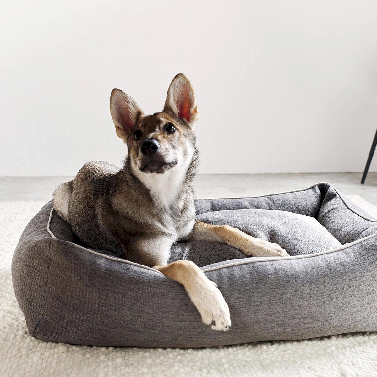 Panier confortable pour chien - UNO - Kasibe