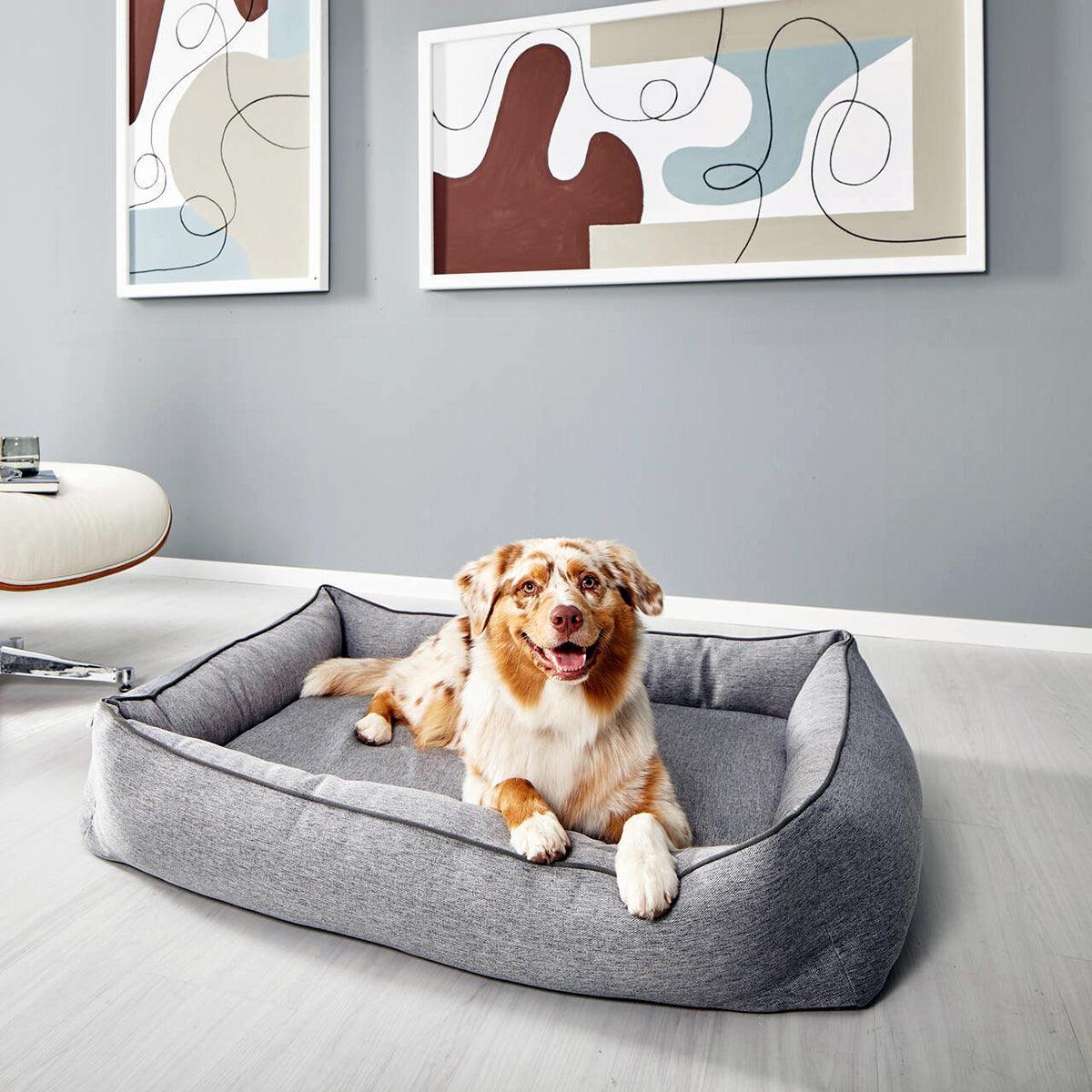 Panier confortable pour chien - UNO - Kasibe