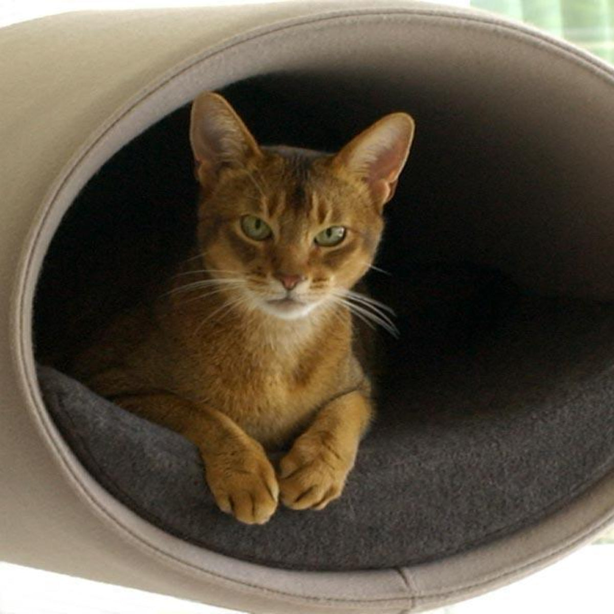 Panier mural pour chat, Rondo un support d'escalade en feutre - kasibe