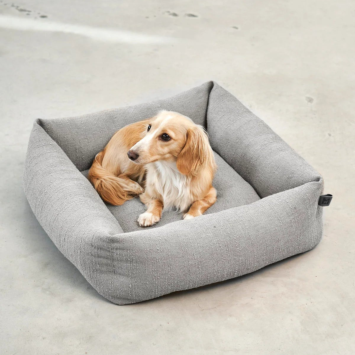 Panier orthopédique pour petit chien galet - kasibe