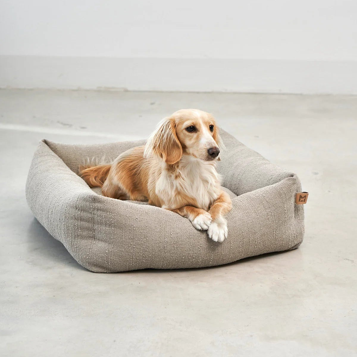 Panier orthopédique pour petit chien greige - kasibe