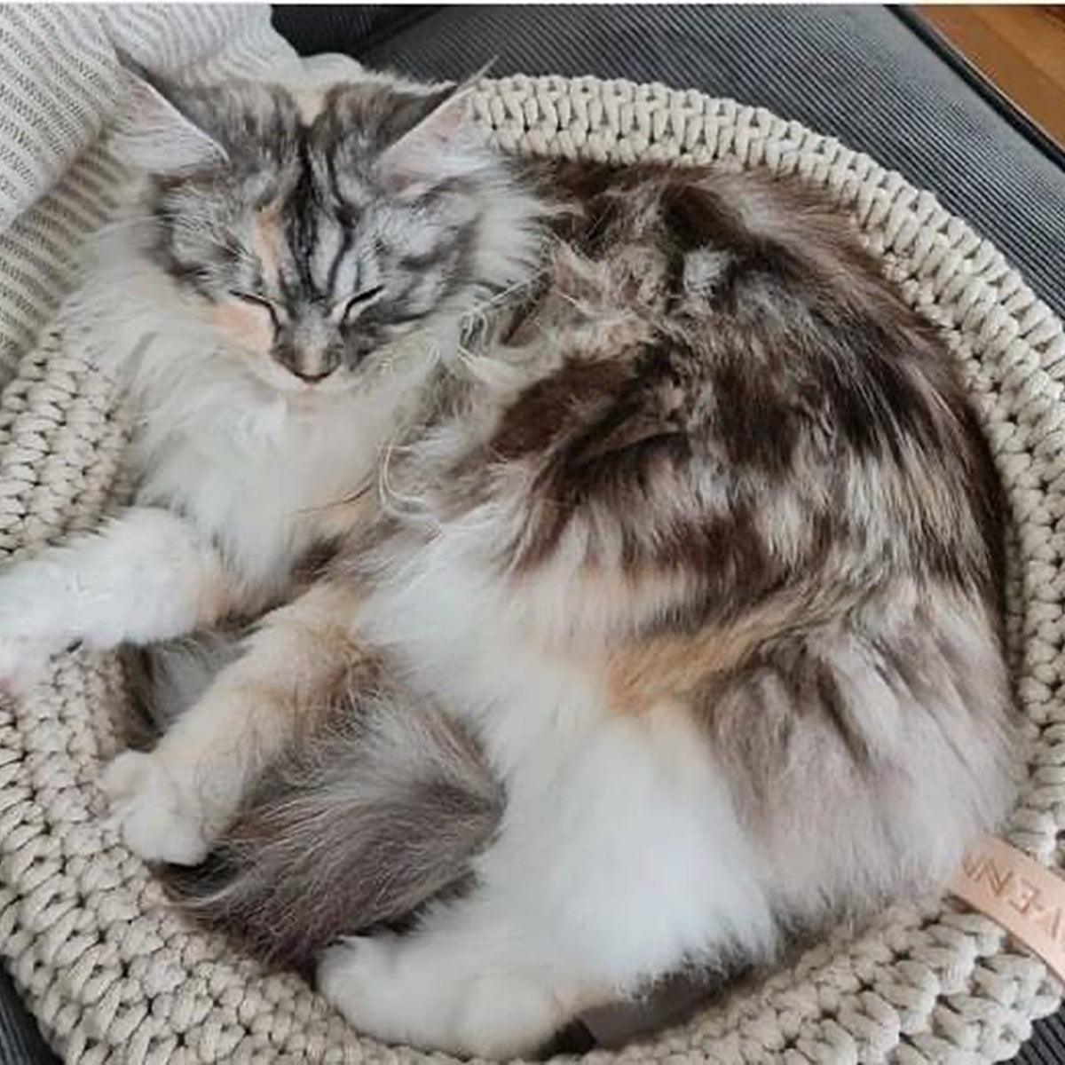 Panier pour chat tressé - COCO - Kasibe