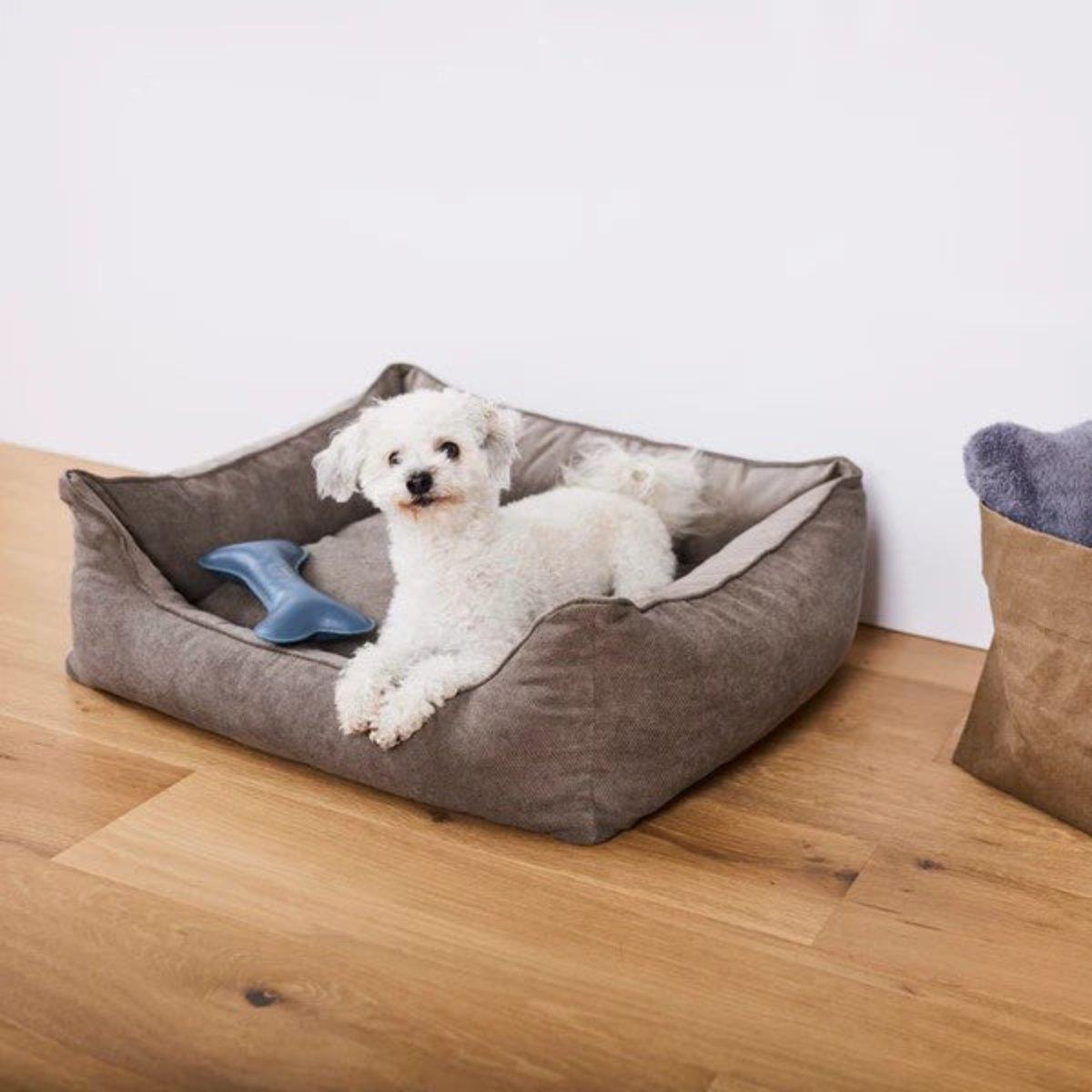 Panier pour chien confort - ORTHO - Kasibe