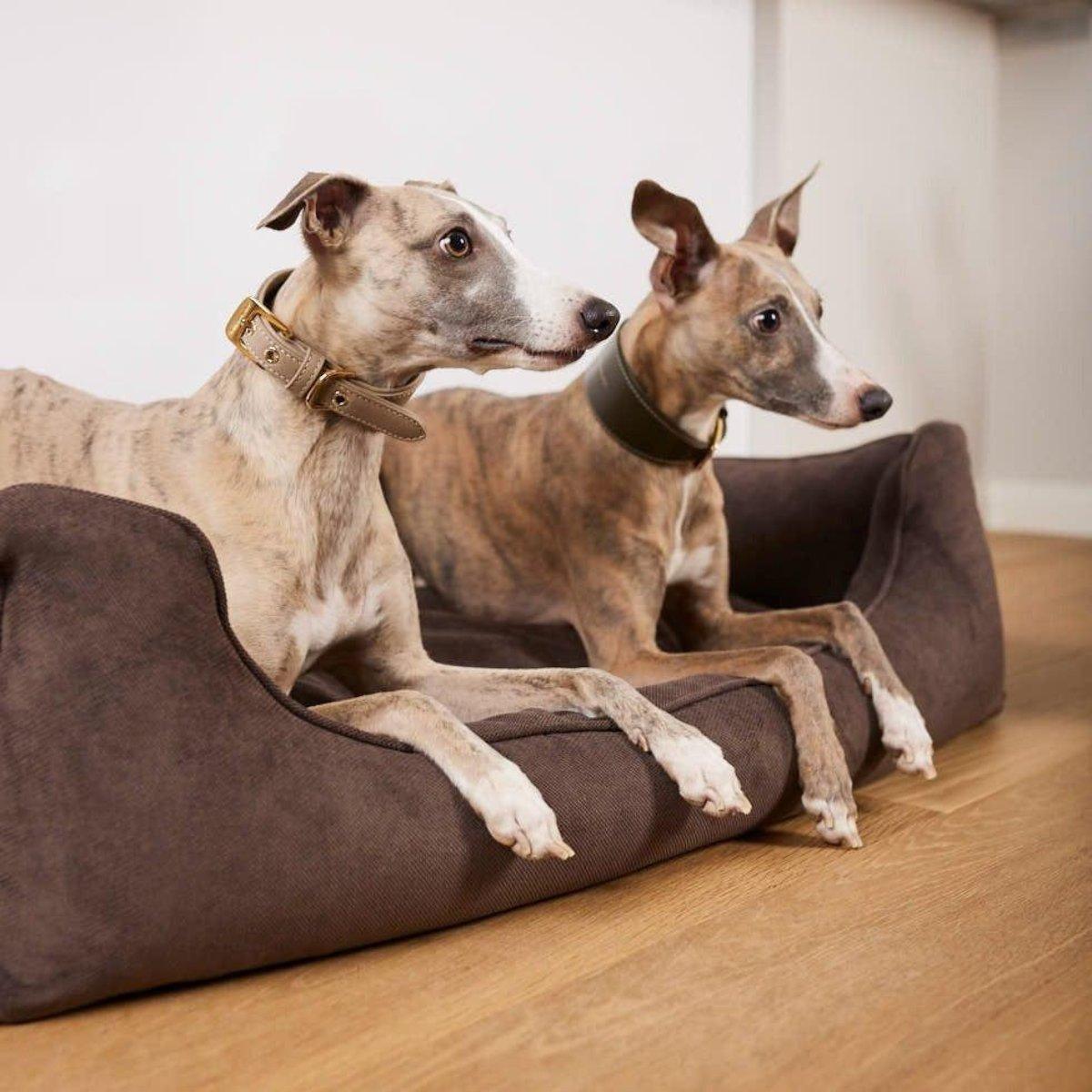 Panier pour chien confort - ORTHO - Kasibe
