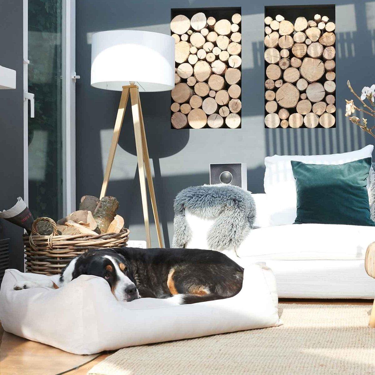 Panier pour chien confort - ORTHO - Kasibe