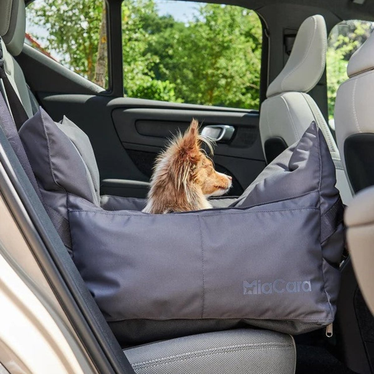 Panier pour chien de voiture - VIAGGIO - Kasibe
