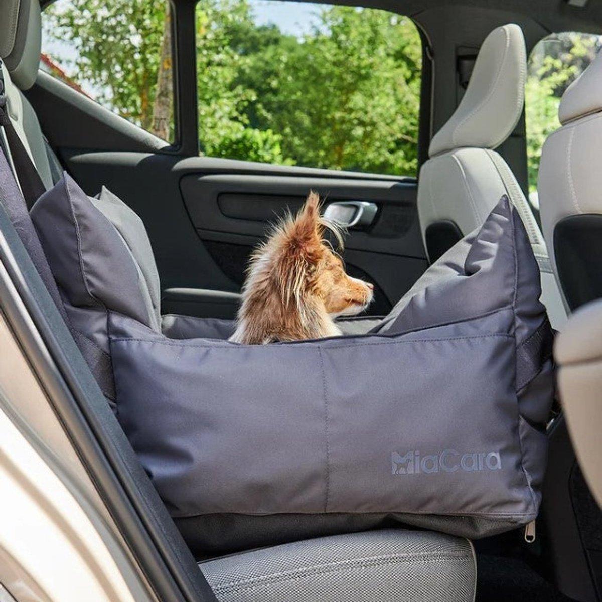 Panier pour chien de voiture - VIAGGIO - Kasibe